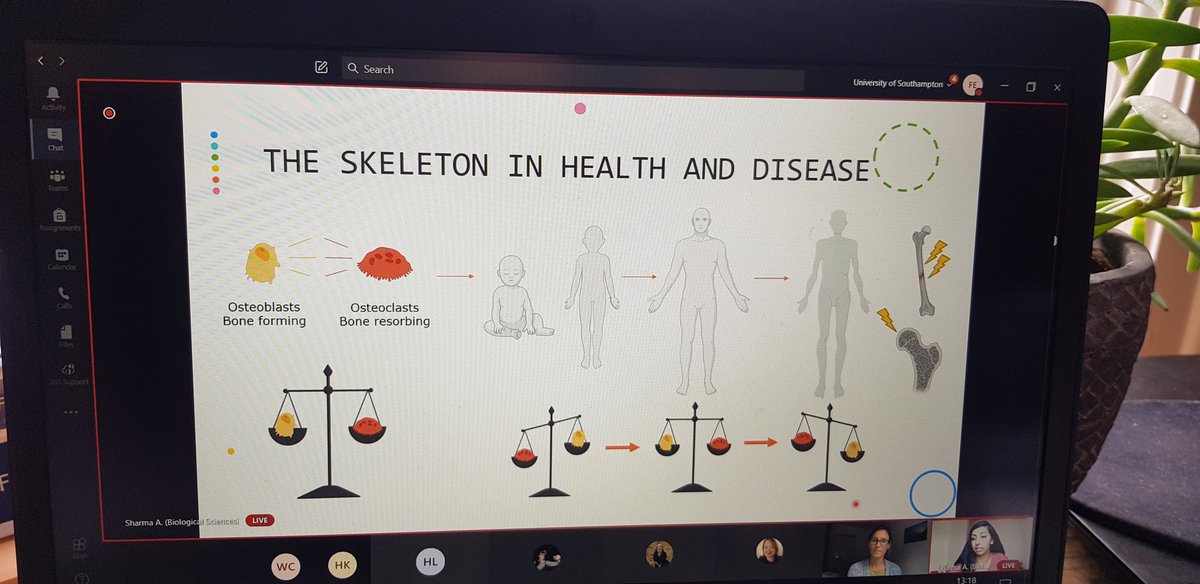 EmilyfeistBio's tweet photo. @AiktaSharmaBio explaining her PhD research for our virtual PhD shadowing day 🦴 @sotonbiosci  @UoS_Engagement https://t.co/iWzi3cnY4l