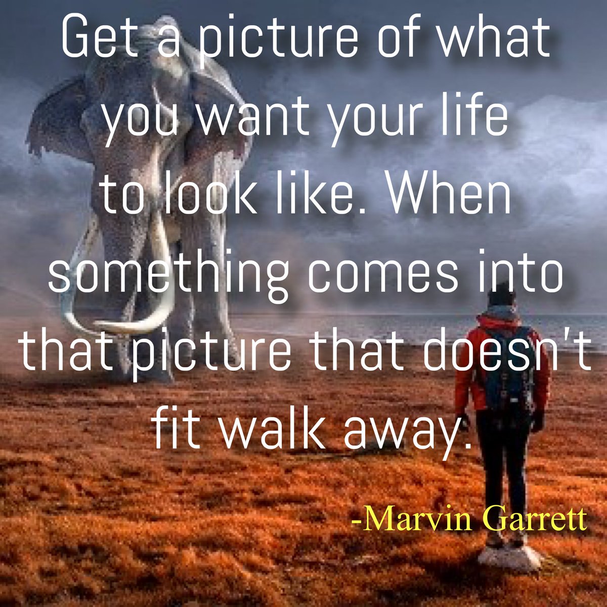 BillWilliams_11's tweet photo. #WhatsInYourPicture
#doesitbelong
#learntowalkaway https://t.co/WJQQVU074p