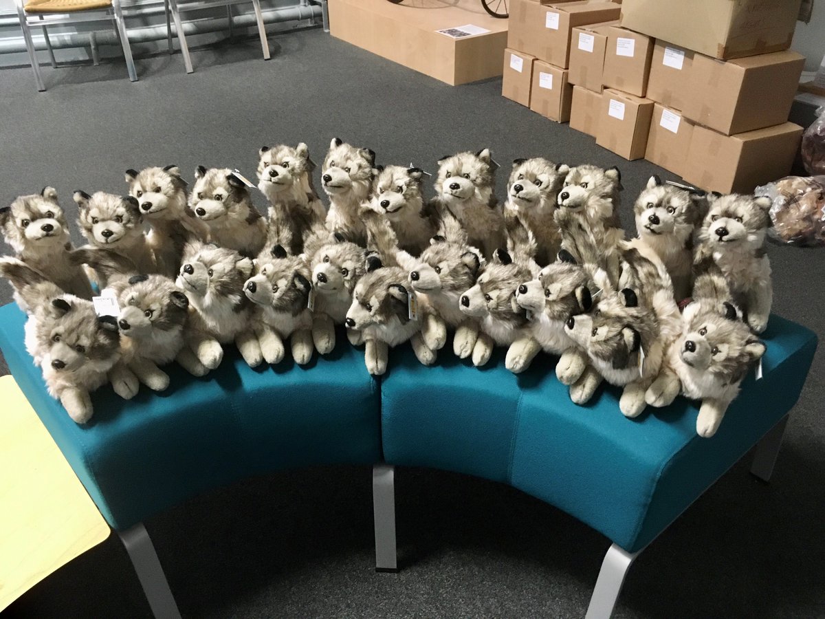 BuxtonMuseum's tweet photo. We're doing a stocktake in the gift shop whilst waiting for the green light to reopen. At first glance, it may look like these wolves aren't social distancing but they're actually all from the same household. Imagine having to feed this lot! #museums #giftshop #Wolves #buxton https://t.co/Ll7KPb1iud