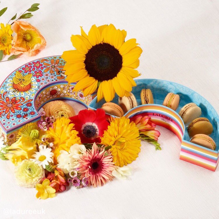 LadureeUK's tweet photo. Discover our beautiful and summery Fleur de Soleil box of seven macarons. Available in store and online - we ship nationwide !
#LadureeUK #Fleurdesoleil #macarons https://t.co/lJIEudrbRz