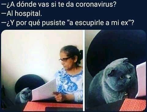 general_at_meme's tweet photo. Mi ex trabaja en el hospital...
#coronavirusmemes #coronavirus #covid_19 #gato #gatomeme #meme #medivierte #ex #exmemes https://t.co/8FPvcShA3Q