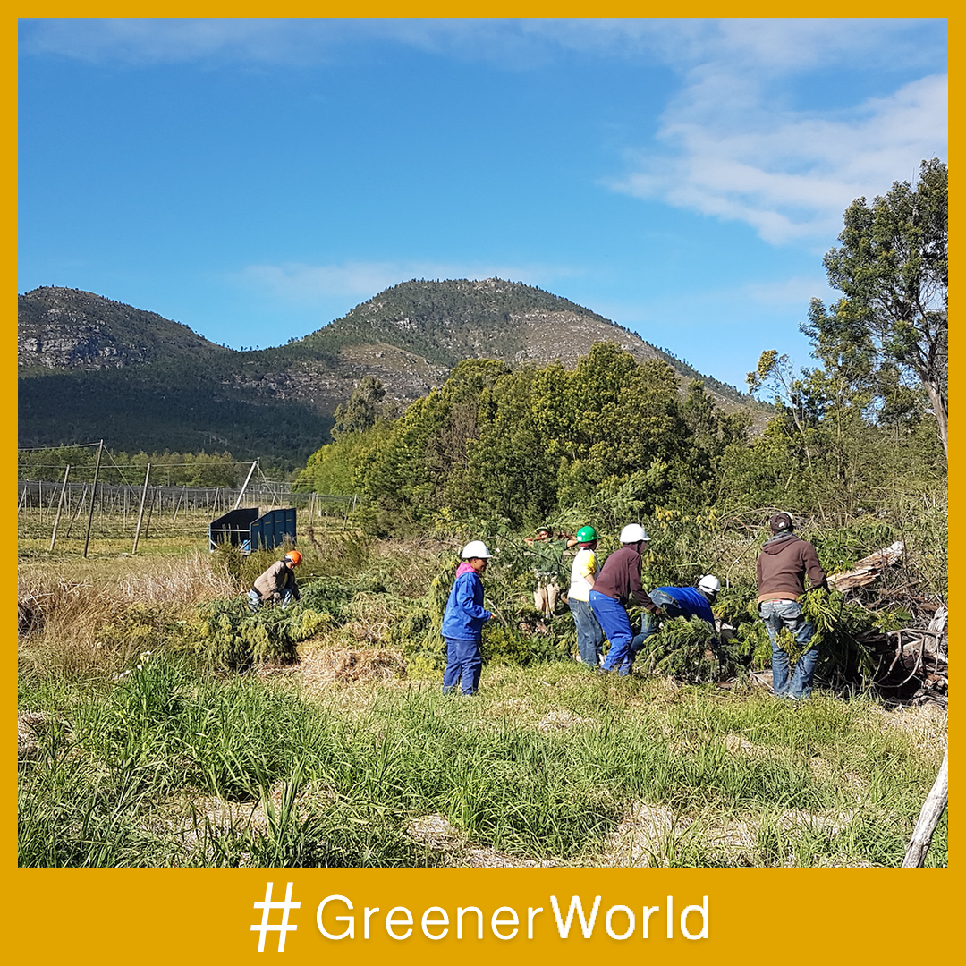 WWF South Africa tweet media