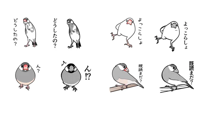 LINEスタンプ描き直しました第3弾も一コマ文鳥の絵柄にします 