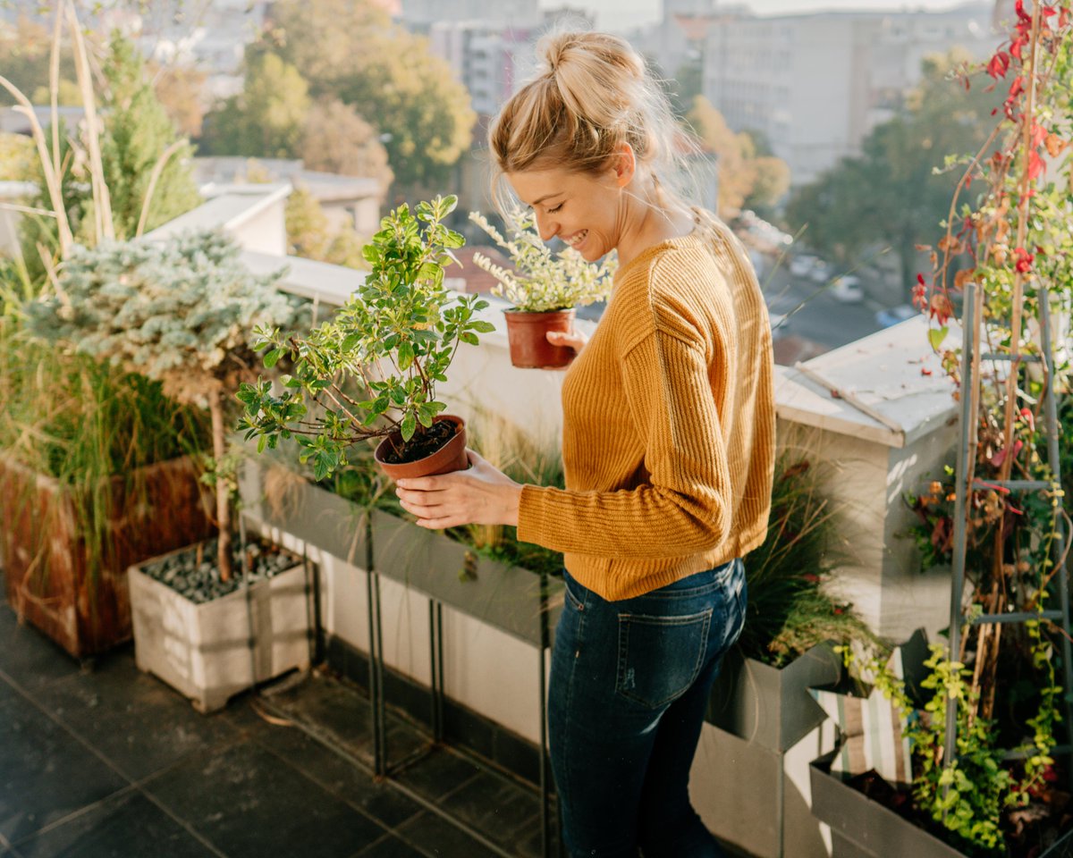 NaturesWayBrand's tweet photo. Find what brings you joy. For us, that's a sunny spot outside, surrounded by plants. 🌿 #plantmom #findjoy #mywaytowell https://t.co/ygzsj8xrLr