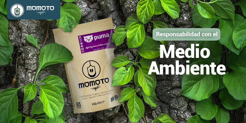MomotoCafe's tweet photo. En Momoto Café priorizamos la responsabilidad con el medio ambiente, por eso nuestros productos son 100% orgánicos.🍃
#HoraDeCafé #CaféOrgánico #MedioAmbiente #BioSustentable https://t.co/fbYFMJmKFv