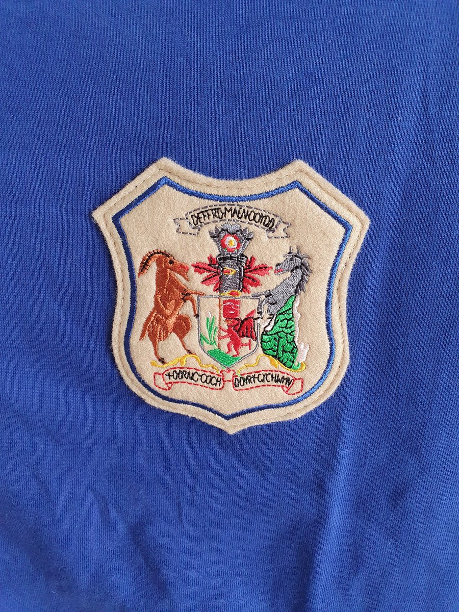 Cardiff City Football Club Logo Embroidery Design