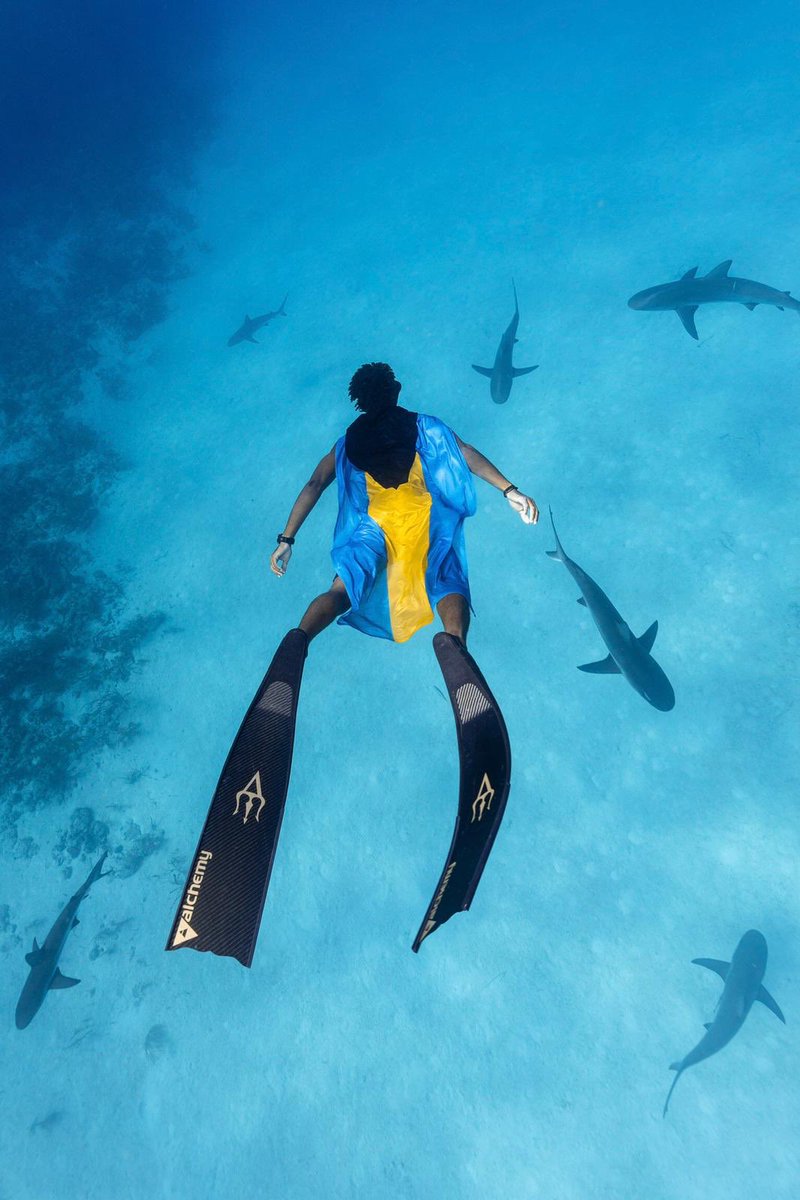 André Musgrove | Underwater tweet media