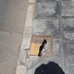 Photo by Asociación de Vecinos de Titerroy (@ATiterroy)