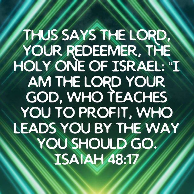 letsmepaint's tweet image. bible.com/114/isa.48.17.…