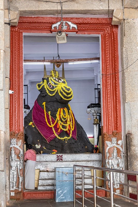 Many centuries ago this area was known as Sunkenahalli, and was fertile farmland dedicated to the cultivation of groundnuts. One day, a wild bull roamed into the area and started to devour and destroy the groundnut crops, wrecking the livelyhoods of the farmers.