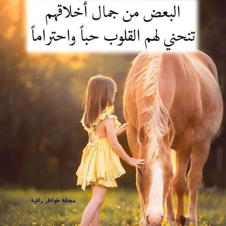 الكلب اوفى من البشر Fazm16 Twitter