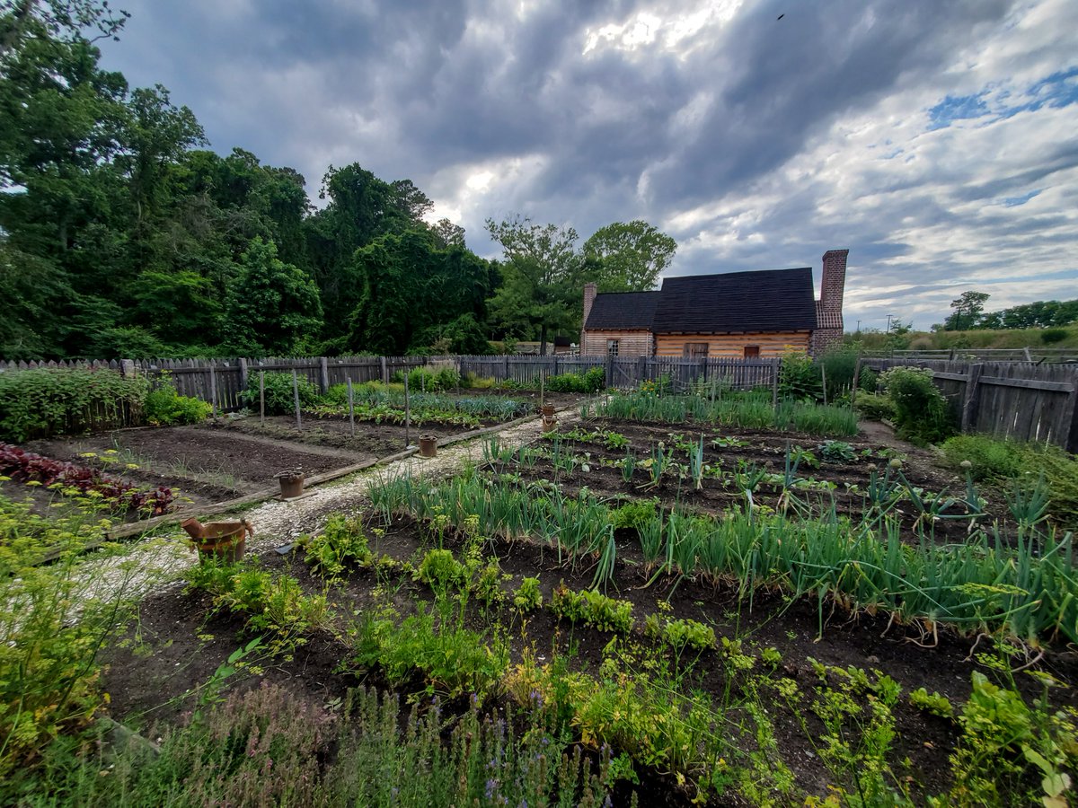 jyfmuseums's tweet photo. Farm Site Supervisor Gretchen Johnson, Historical Interpreter Greg Schneck and other amazing staff worked hard while our museums were closed so visitors can explore + enjoy a bountiful 18th century farm garden at the American Revolution Museum at Yorktown now that we've reopened. https://t.co/fq4ILcXBr8