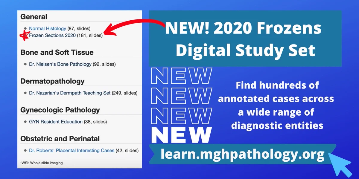New Frozens Digital Study Set