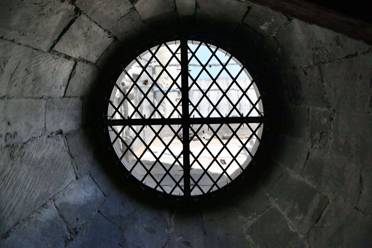 CburyCathedral's tweet photo. The Stained Glass Studio created the Oculus Window in 2018 using iron bars recycled from the Great South Window.

The team each painted an insect onto the glass including this lovely little bee! 🐝

More: https://t.co/7LsvTL78Pd

#DontStepOnABeeDay #AnimalsInChurches https://t.co/mkOm72kBZM