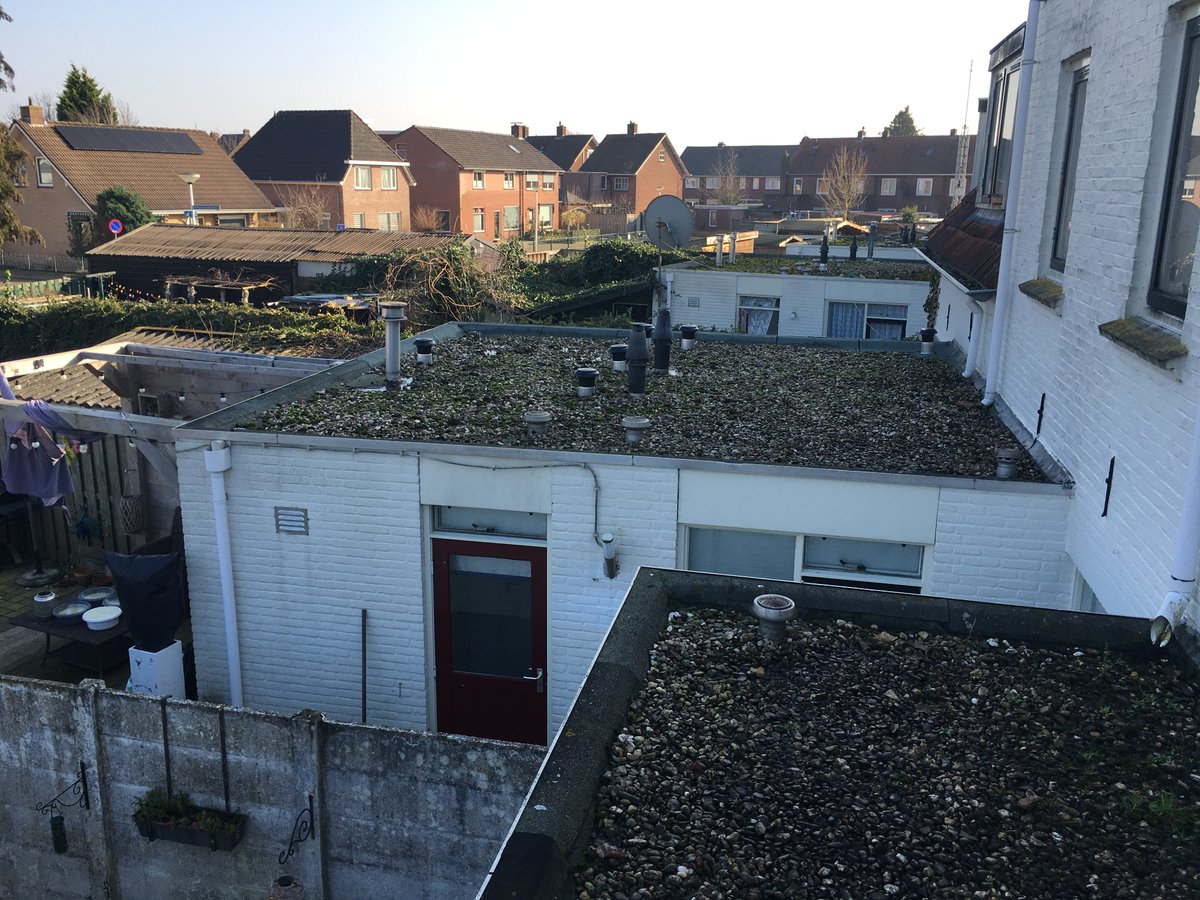 Lowik_Almelo's tweet photo. De medewerkers van Technodak zijn momenteel bezig met de renovatie van de dakbedekking van 70 woningen te Almelo. De daken van de achterbouwen, dakkapellen en dakopbouwen worden voorzien van nieuwe dakbedekking.
Meer info: https://t.co/ZrZUW2OoDj
#BeterWonen #Almelo #Technodak https://t.co/fN31IDCMYq