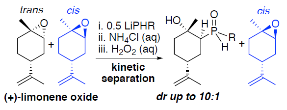 JOC_OL's tweet photo. From lemons to ligands: (+)-limonene oxide, a low-cost chiral reagent from citrus peels, is converted to P-stereogenic secondary phosphine oxides (SPOs) in one-pot by @glueckd et al. Part of the upcoming #JOC Special Issue on  Organophosphorus Chemistry! https://t.co/r7Y4rWgLoQ https://t.co/bDTl609NCn