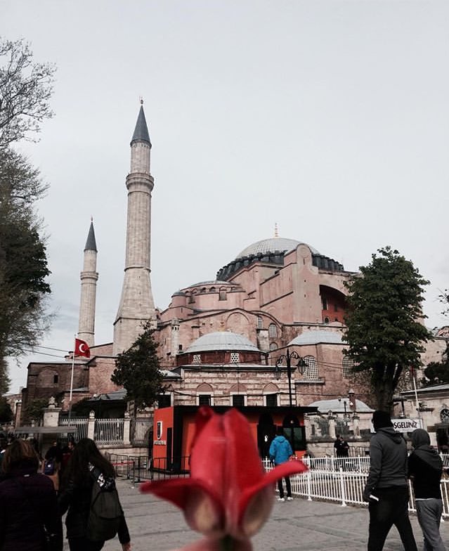 SnMuhajar's tweet photo. Ayasofya Camii, hayırlara vesile olsun. 🤲🏻 #AyasofyaCamii https://t.co/mAQrBBobeX