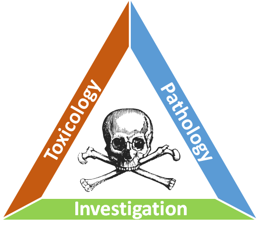 So autopsy and toxicology isn't helpful. Now what? This is where you need to rely on your investigators, looking for things, like coolers of dry ice in the car.This is what I made and use in my death investigation talks (it's like those "fire triangles"...you need all three.