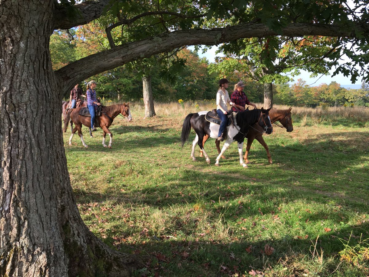 Equitrekking's tweet photo. Go riding across the USA! Watch the reply of our @NationalForests
Watch Party from last night— taking you to 12 #nationalforests https://t.co/GpTb2ez2IB Some of which may surprise you! #twdnff #travel #itsallyours #recreateresponsibly #horses #FingerLakes https://t.co/UknKwfmnN5