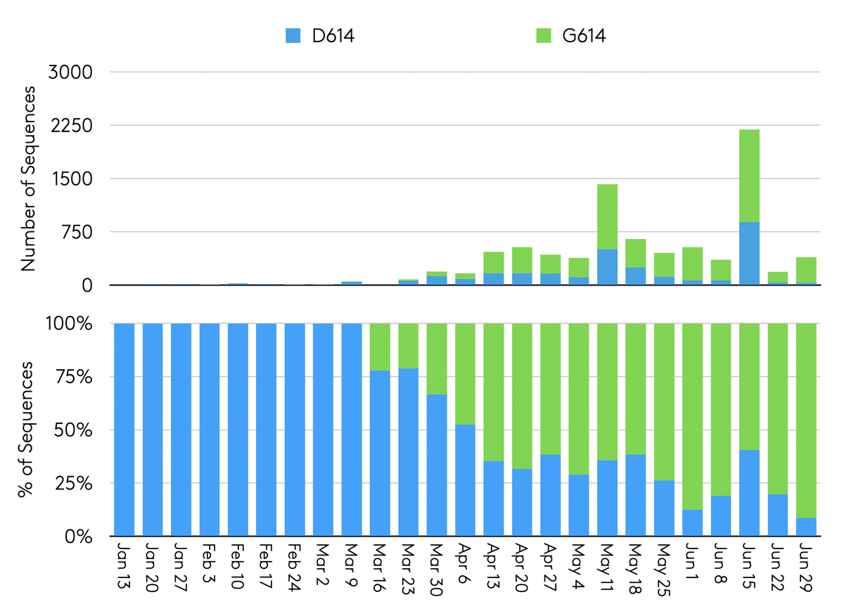 DNAstack's tweet photo. Evidence suggests a more infectious form of SARS-CoV-2 has emerged. Viruses with the D614G mutation have appear to be more prevalent and infectious. To explore genomes with D614G, visit https://t.co/gFOFN0wk3Q. We continue to update this resource daily. #openscience #codetocure https://t.co/F2TsGFFXWv