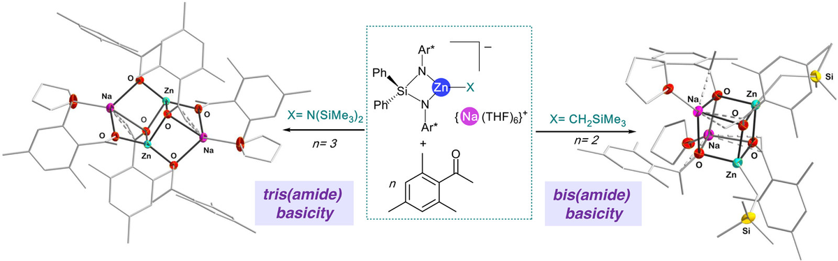 Orgmet_ACS's tweet photo. Alkyl or amide bases? Structurally mapping the reactivity of #sodium #zincates toward ketone and bis(amine) substrates by @EvaHeviaGroup @DCBunibern in @Orgmet_ACS sheds new light on the intriguing reactivity of these #maingroup #bimetallic bases. https://t.co/lHTvvSaXSo https://t.co/n7psjp8WP8