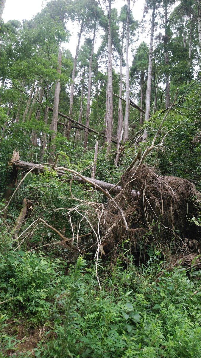 千葉県の停電 復旧 のyahoo 検索 リアルタイム Twitter ツイッター をリアルタイム検索