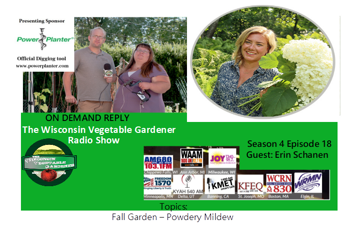 WIGardenMedia's tweet photo. S4E18 The Wisconsin Vegetable Gardener radio show is here to download Host Joey &amp; Holly talk about the getting the fall garden ready &amp; powdery mildew, their guest in  Erin Schanen
&amp; garden ?S answered Thanks to @NeptunesHarvest
for sponsoring the show 
https://t.co/uyETWlqRfc https://t.co/KMbGPvRj9g