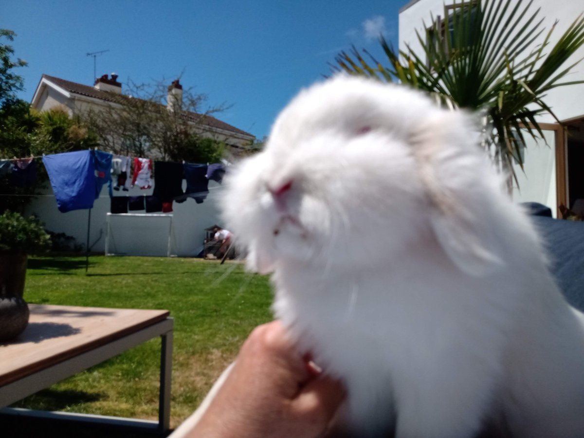 RalphBuchholz's tweet photo. #bbccricket https://t.co/QBLW5pbHDG