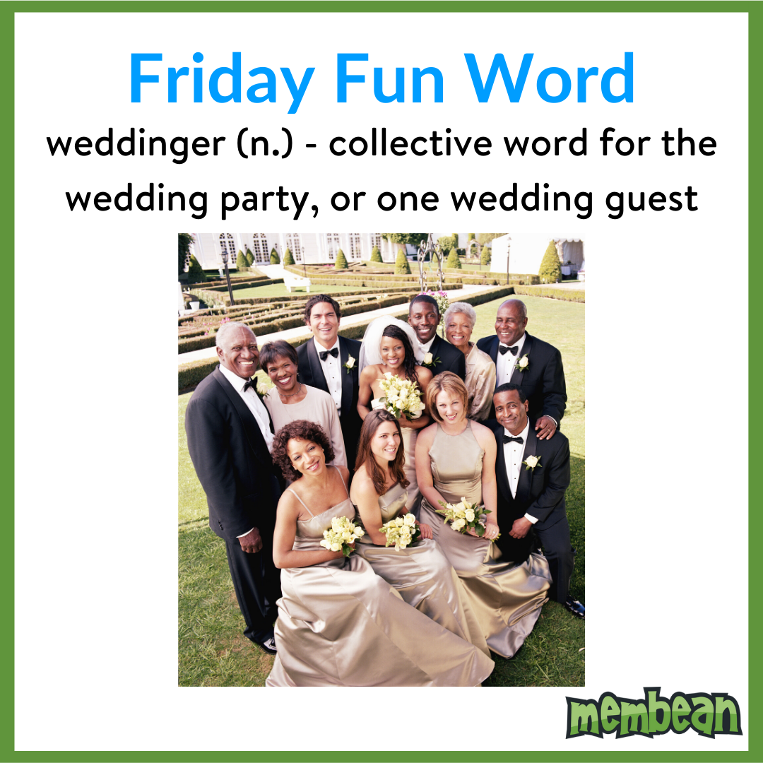 Just think, now you can ask: Where's the weddinger? &amp; How many weddingers are in the weddinger?

#membean #thatsamembeanword #fridayfunword #vocabulary #vocab #2ndaryela