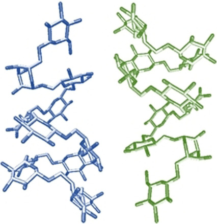 Chemistry (@chemeurj) on Twitter photo Check out the Minireview by Delbianco (<a href="/DelbiancoM/">Martina Delbianco</a>) on conformational studies of oligosaccharides! onlinelibrary.wiley.com/doi/10.1002/ch… Check out the Minireview by Delbianco (<a href="/DelbiancoM/">Martina Delbianco</a>) on conformational studies of oligosaccharides! onlinelibrary.wiley.com/doi/10.1002/ch…