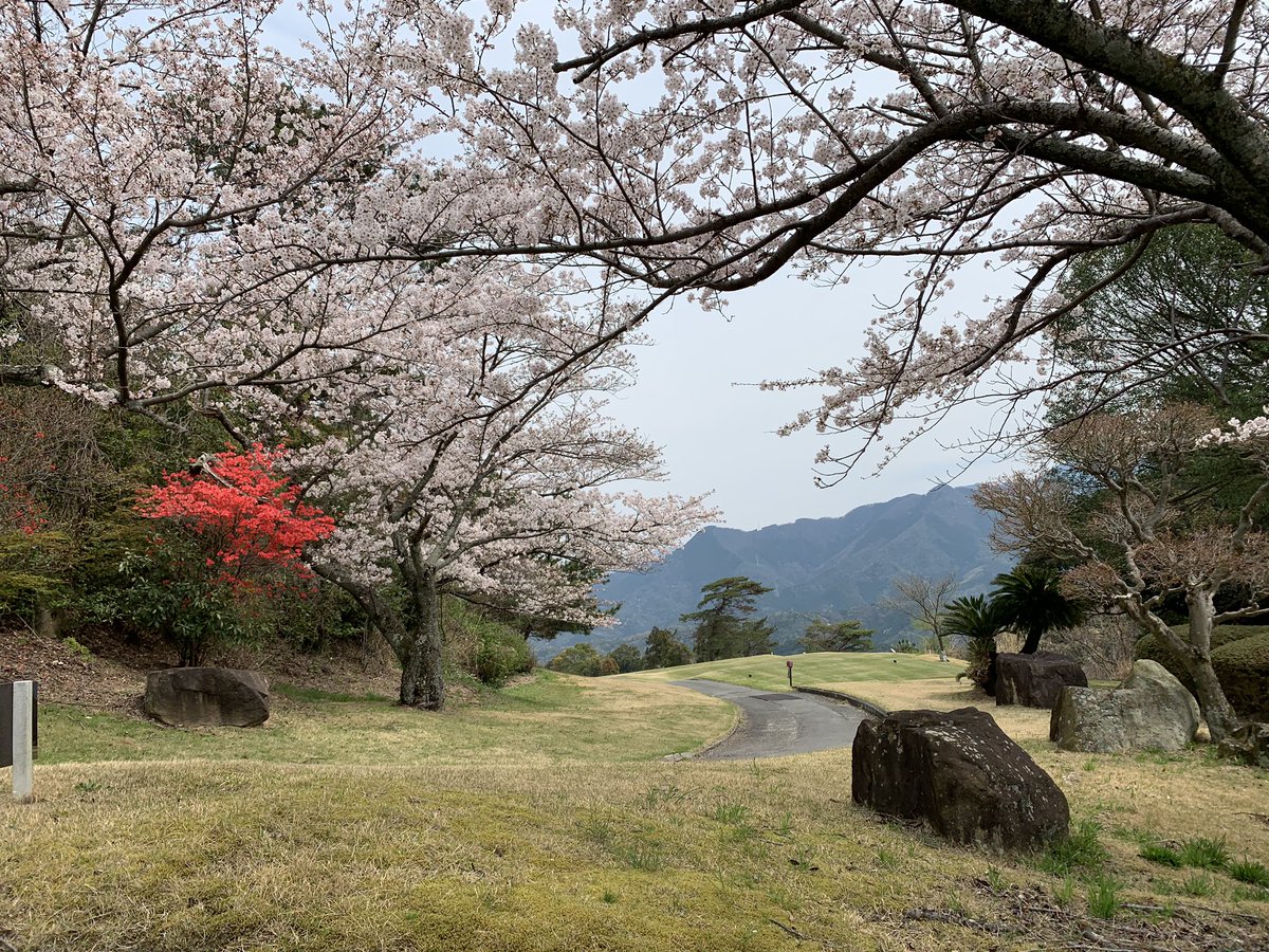 ehimemedgolf's tweet photo. ゴルフ部です！
毎週木曜日に練習してます⛳️
兼部している人が多く、ゆる〜く活動しています❗️新入生の皆さんぜひゴルフ部へ‼️ https://t.co/i6VA7eo8ET