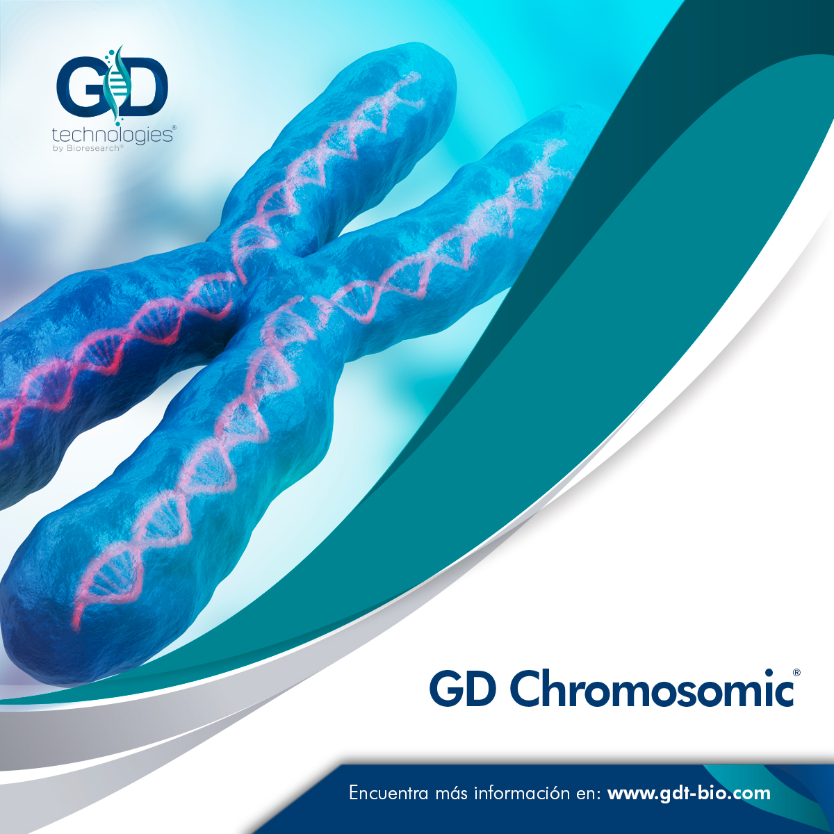 GdTechnologies's tweet photo. #GDTechnologies 
Te ofrecemos pruebas dirigidas al diagnóstico de alteraciones cromosómicas, padecimientos que están relacionados con malformaciones congénitas y discapacidad intelectual.
Contáctanos:  contacto@gdt-bio.com https://t.co/ZniIvaXLOz