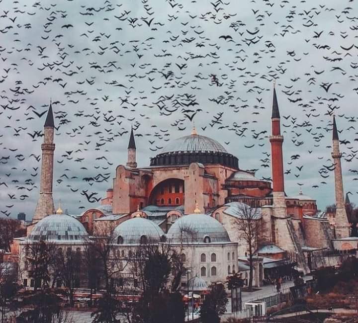 mübarek gündür
gelsin Fâtihalar, Yâsînler..
Hasret son buldu,fetihler başladı. Sırada Mescid-i Aksa 🤲

#AyasofyaCamii
