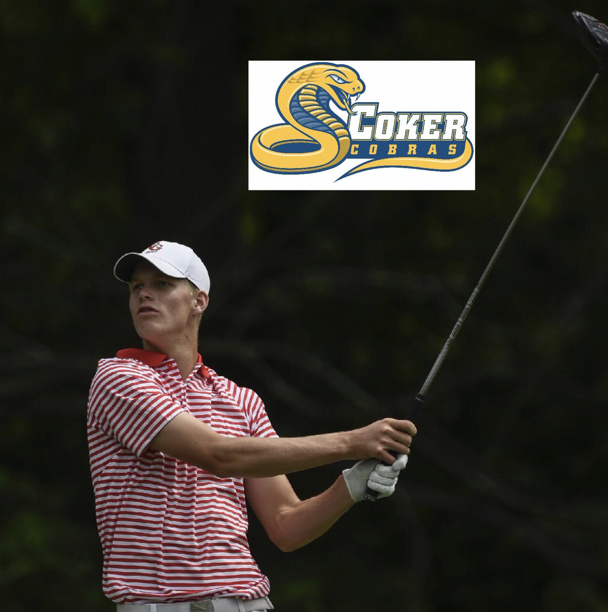 Caleb Tidd tweet media