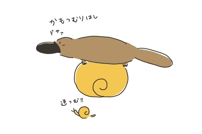 カモノハシ いらすとや