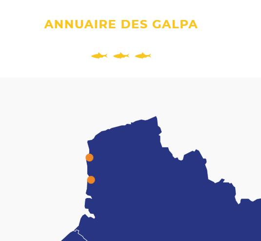 reseauGALPAs's tweet photo. Deuxième rencontre virtuelle pour le @reseauGALPAs avec la Région #HautdeFrance, les #GALPAs #CotedOpale et #TroisEstuaires - découvrez leurs projets phares appuyés par le #FEAMP #DLAL https://t.co/1bCGQhv9uX https://t.co/3kLWWel2h5