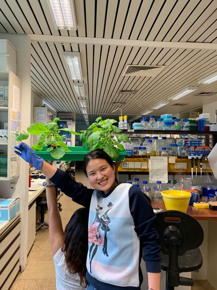 Whoooohoooo!! Our postdoc Junli Wang was awarded an Alexander von Humboldt Fellowship! She will be bridging the gap between helper-NLRs and cell death in #Plants 🌱 #immunity #PlantScience <a href="/mpipz_cologne/">MPIPZ Cologne</a> <a href="/AvHStiftung/">Humboldt-Stiftung</a>