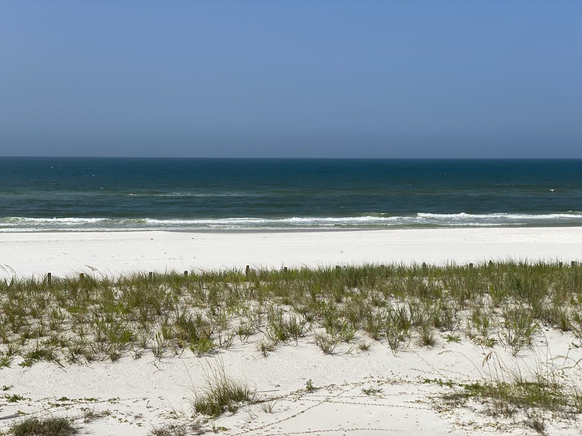 Discover Mexico Beach, FL tweet media