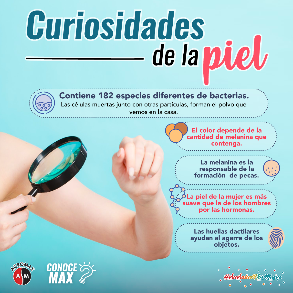 AcromaxEcuador's tweet photo. 📌La piel es un órgano fascinante y complejo, pero me temo que no sabemos demasiado sobre él. ¿Sabías que toda tu piel se renueva cada 28 días?
#ConoceMax #Curiosidades #Piel #SuSaludNosMueve https://t.co/VB72FaXXBv