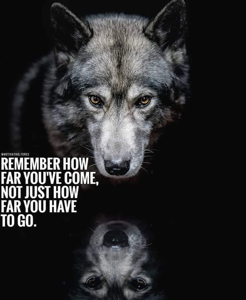 WESMCFARLANDJR's tweet photo. I am thankful, blessed, & humbled by all the messages of support from around the globe. Opportunity is everywhere. The key is to develop the vision to see it.
#Mindset #ItStartsWithYou #LiveTheLifeYouWant #SuccessLeavesClues #StandOutWhenYouStandUp https://t.co/pAWzyGyHlO