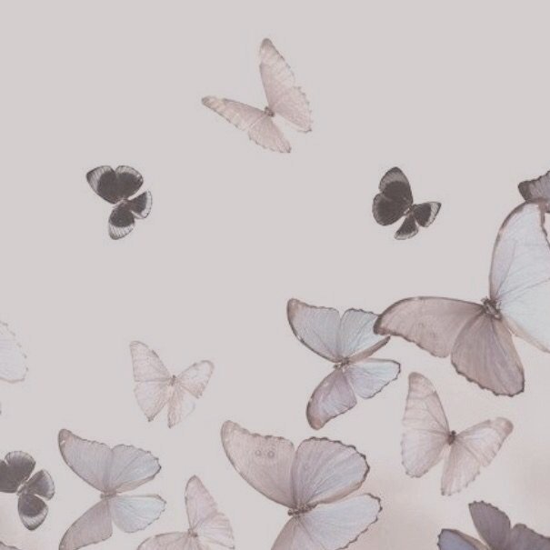 fairychhee's tweet photo. ╭─────────            

╰𝐦𝐲 𝐭𝐡𝐞 𝐛𝐨𝐲𝐳 𝐰𝐚𝐥𝐥𝐩𝐚𝐩𝐞𝐫𝐬 > ๑♡°⸙͎ a thread https://t.co/kkRWcInHgD
