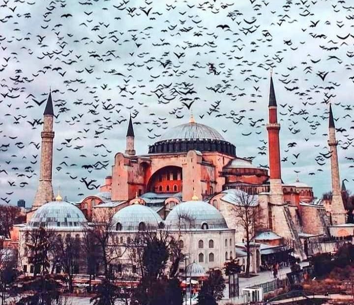 #AyasofyaCamii
"Şurda bir gedik açtık; mukaddes mi mukaddes!
Ey kahpe rüzgâr, artık ne yandan esersen es!"