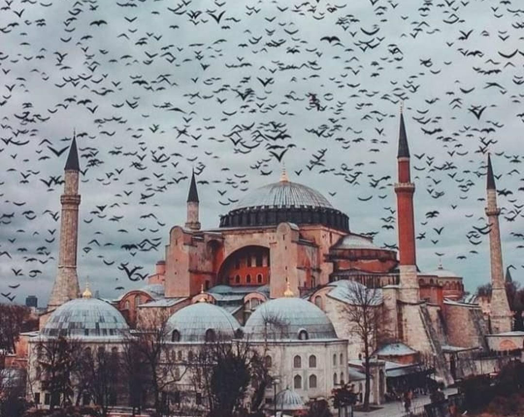 #AyasofyaCamii  86 yıl sonra özgürlüğüne kavuştu.