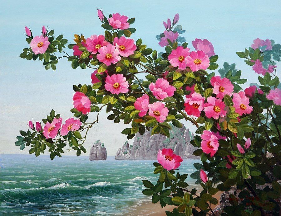 �����������