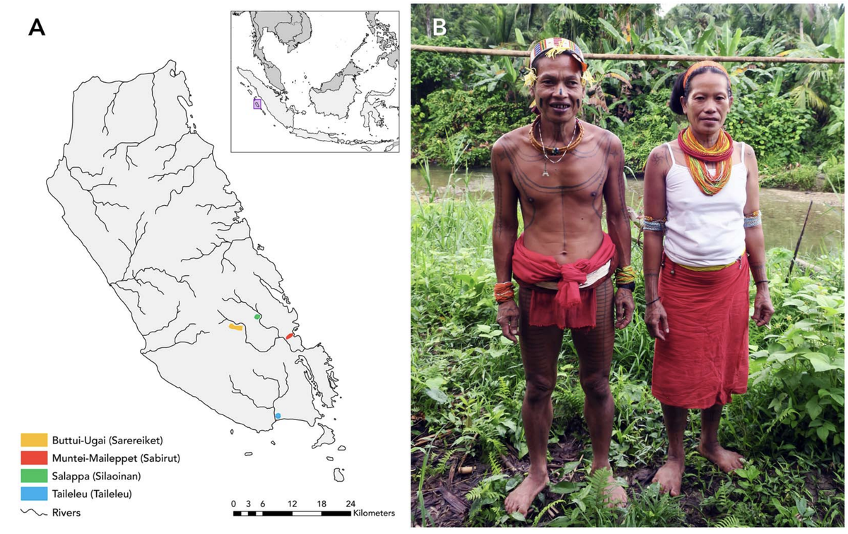 Why do priests, shamans, and other religious leaders deny themselves food and sex? To answer this question,  @JoHenrich & I combined ethnography & field experiments to study taboos on Mentawai shamans in Indonesia. Our paper is out  @Journal_EHS! Here’s what we found: