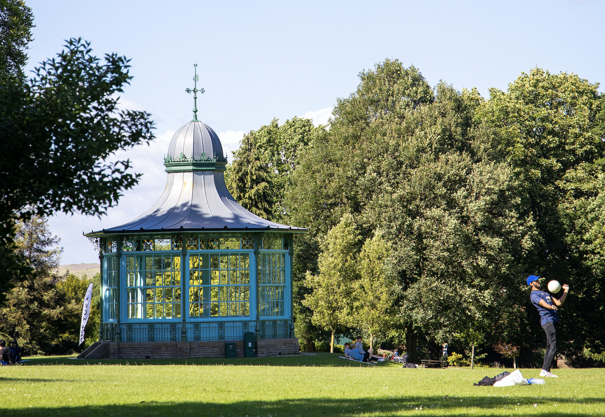 The University of Sheffield tweet media