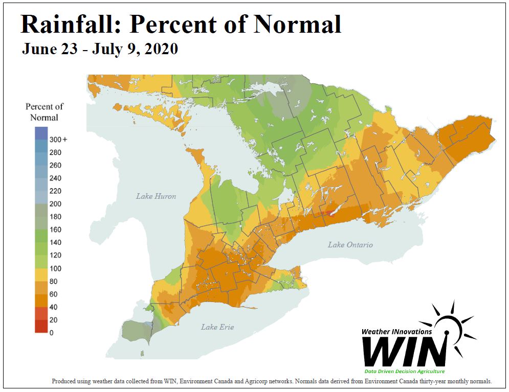 Unlike temperature, rainfall in Ontario has been spotty.