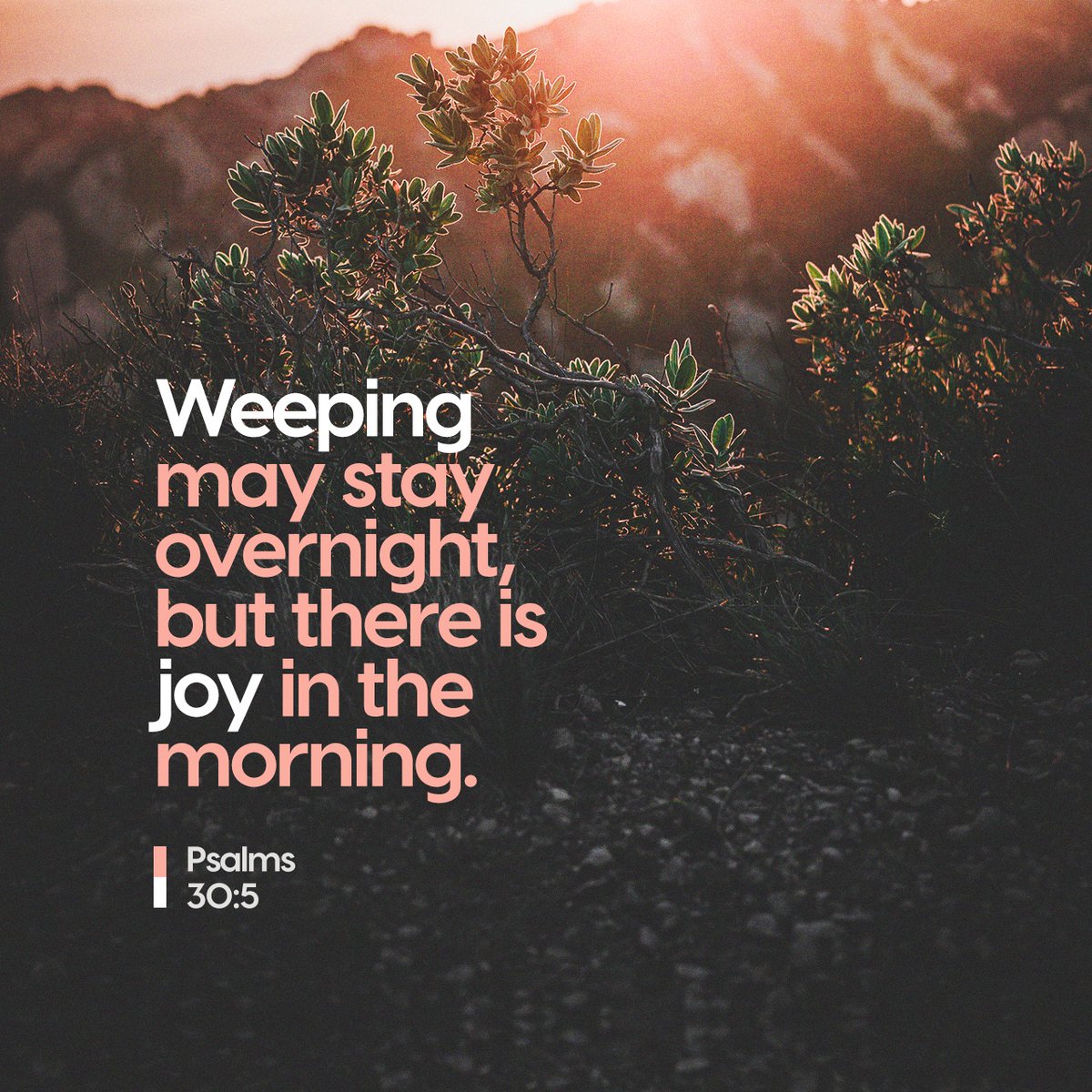 YouVersion's tweet photo. For his anger lasts only a moment, but his favor, a lifetime. Weeping may stay overnight, but there is joy in the morning. https://t.co/h2kT6e1Hdm