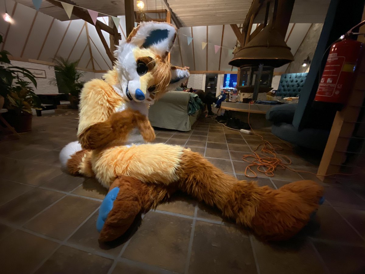 For #fursuitFriday, just get a compilation of fluffy friends ! @Poodle_Morgan / <a href="/Nihilusion/">Roos✨</a> / <a href="/JuJuSyber/">JuJu</a> / <a href="/ChiiCuteCollie/">Chii</a> / <a href="/FuzzerFox/">Fuzzer</a>