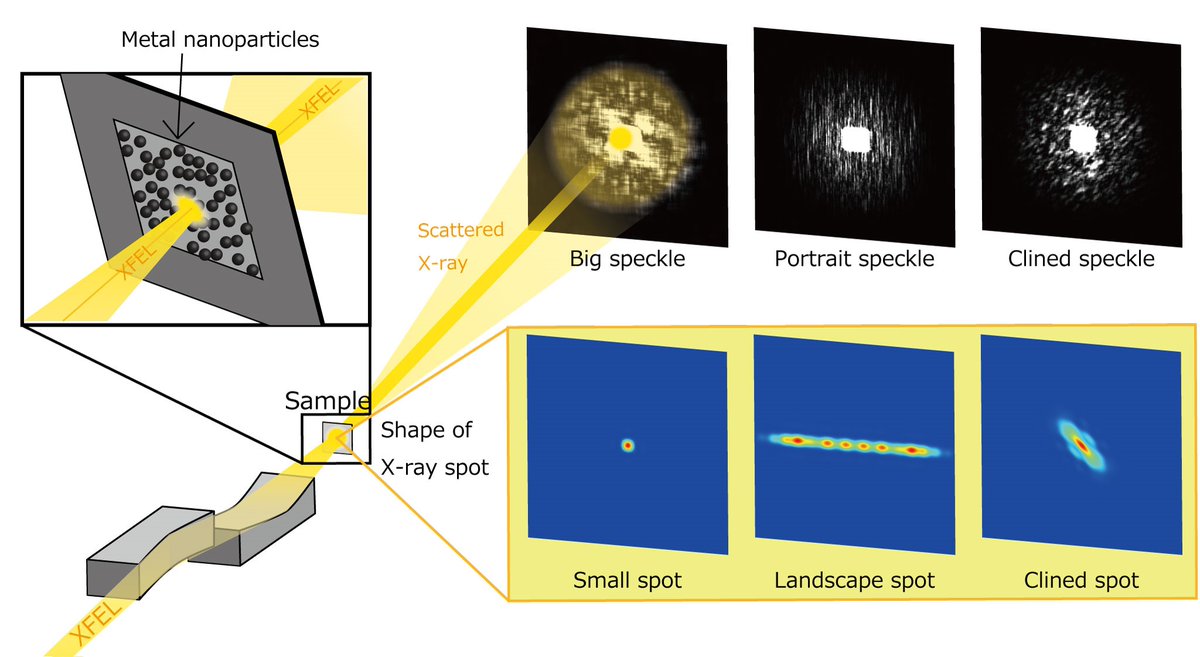 MicroscopyViews's tweet image. Researchers focus XFEL beam to only 6 nm - getting ready for atomic-level imaging with X-ray free-electron lasers. #Xrayanalysis #imaging #Microscopy 
analyticalscience.wiley.com/do/10.1002/was…